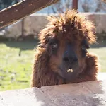 Отель типа 