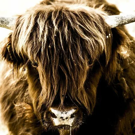 B&B Montanari Agrivillage