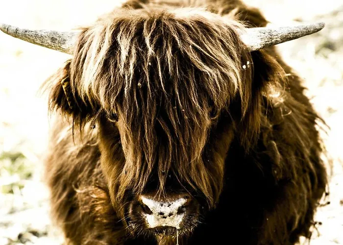 Nocleg ze śniadaniem Montanari Agrivillage