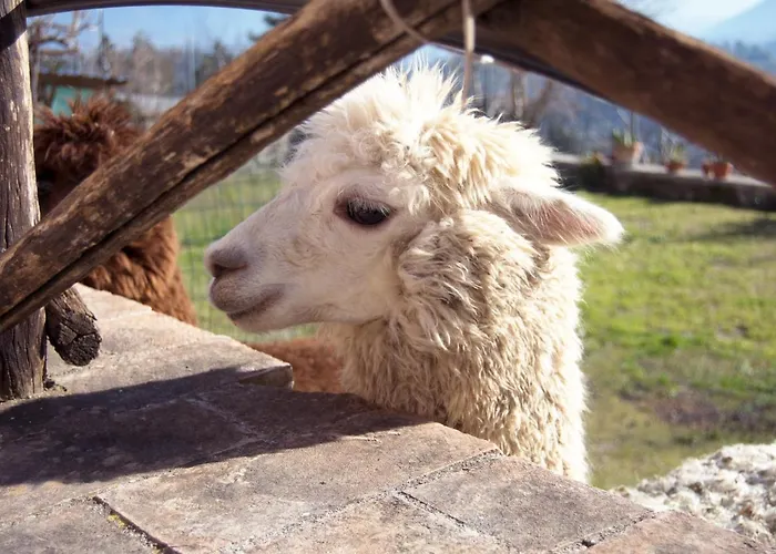 Montanari Agrivillage